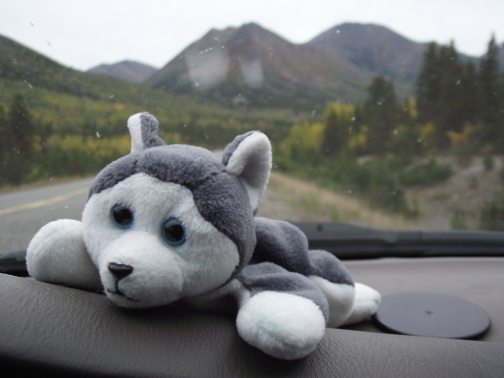 Nanook is Off to See the World - South Klondike Highway, British Columbia