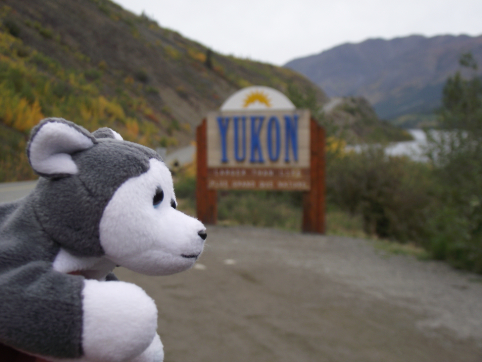 Nanook is Off to See the World - Welcome to the Yukon