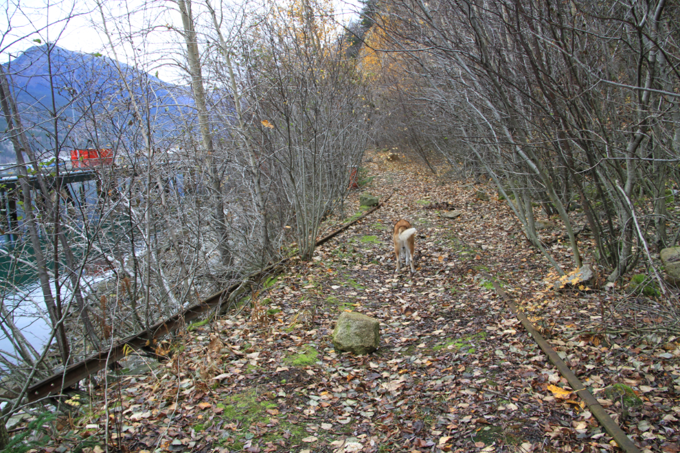 Long-abandoned rail line at Skagway, Alaska