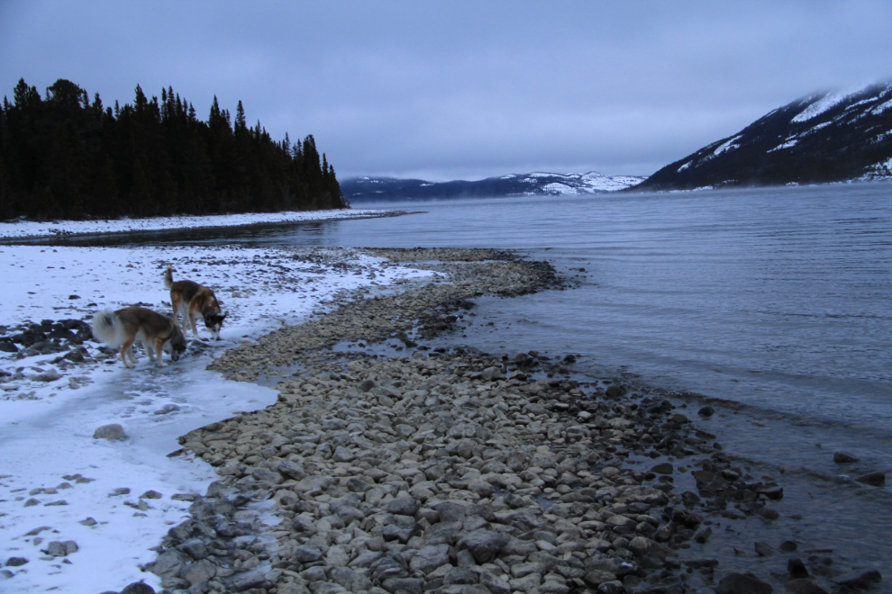 Tutshi Lake, BC