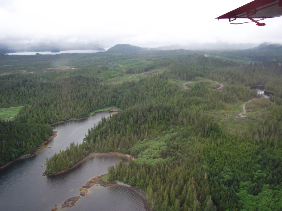 Aerial view of logging near Ketchikan, Alaska