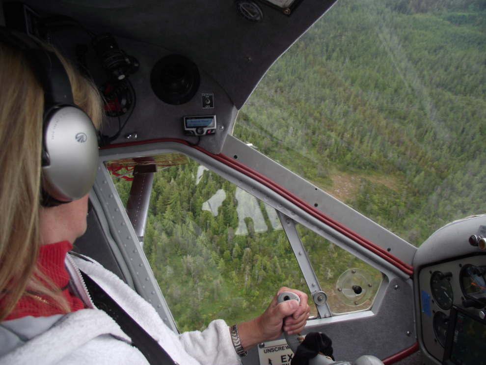 Looking for a bear from a float plane