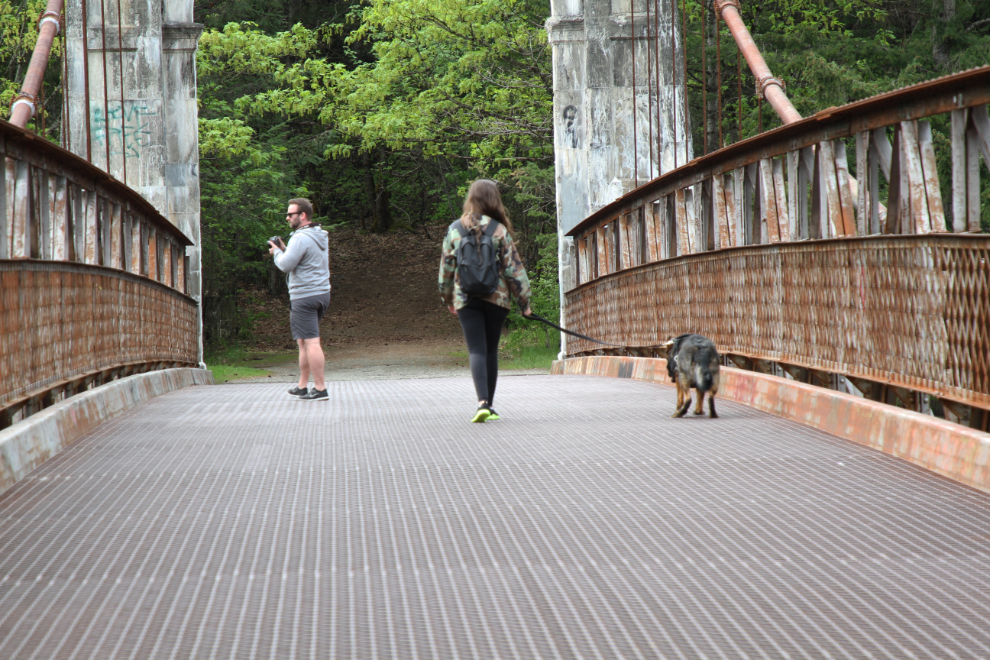 Dog walking across the open-grate steel deck of the historic Alexandra Bridge