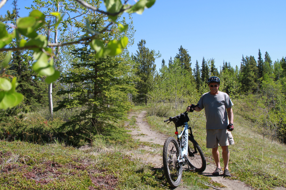 '3 Benches' bike trail, high on a post-glacial esker in Whitehorse