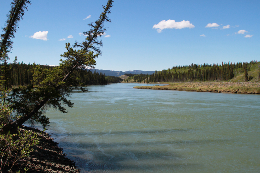 A section of the Yukon River accessed by a dirt road east of Whitehorse