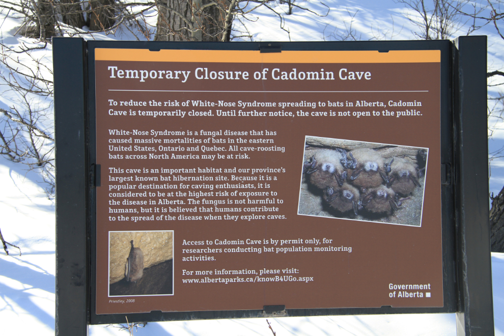 Cadomin Caves, Alberta