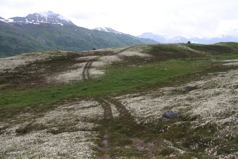 This ATV trail leads towards the Clayton Creek valley near the Haines Summit