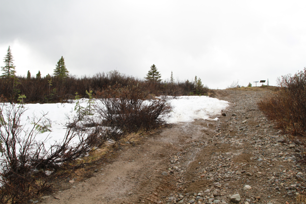 Snow on the Coal Lake trail, Whitehorse, in mid-June