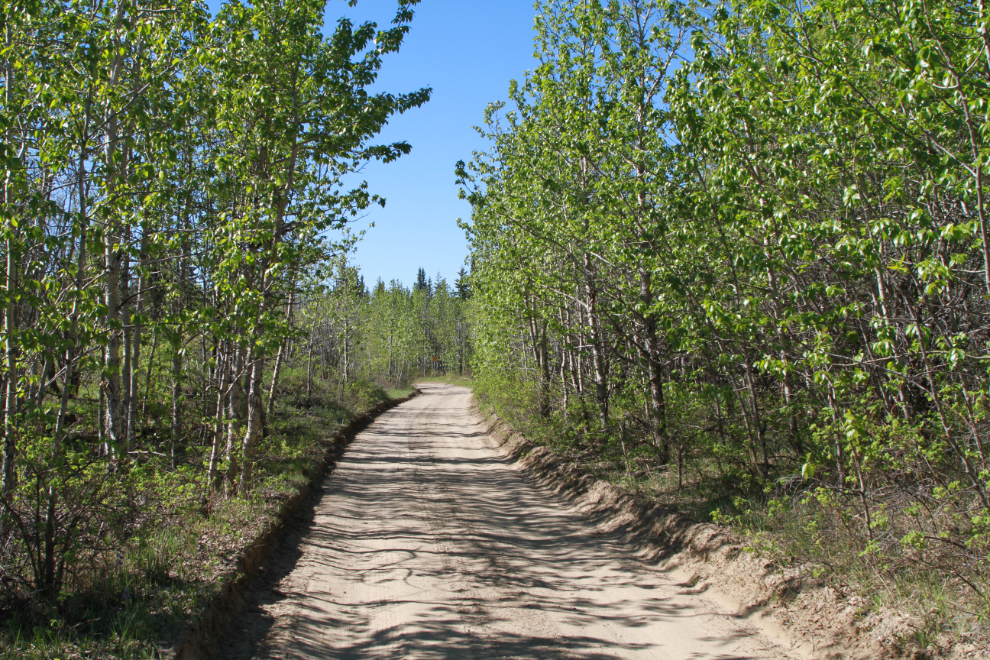 This section of The Great Trail starts on the access road into the Whitehorse copper belt mining area