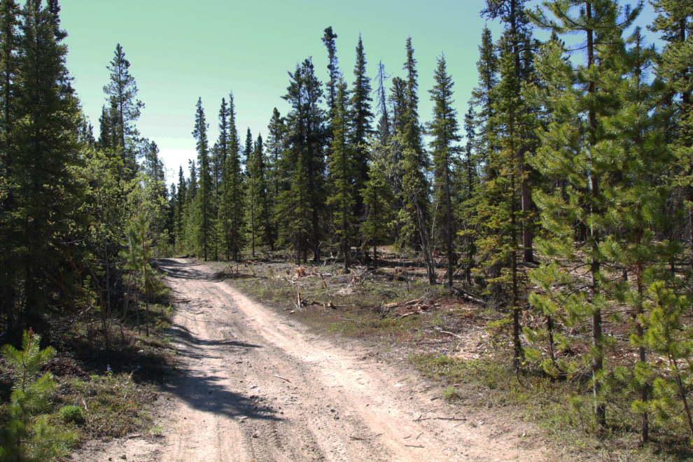 The WWII Canol pipeline road at Mary Lake