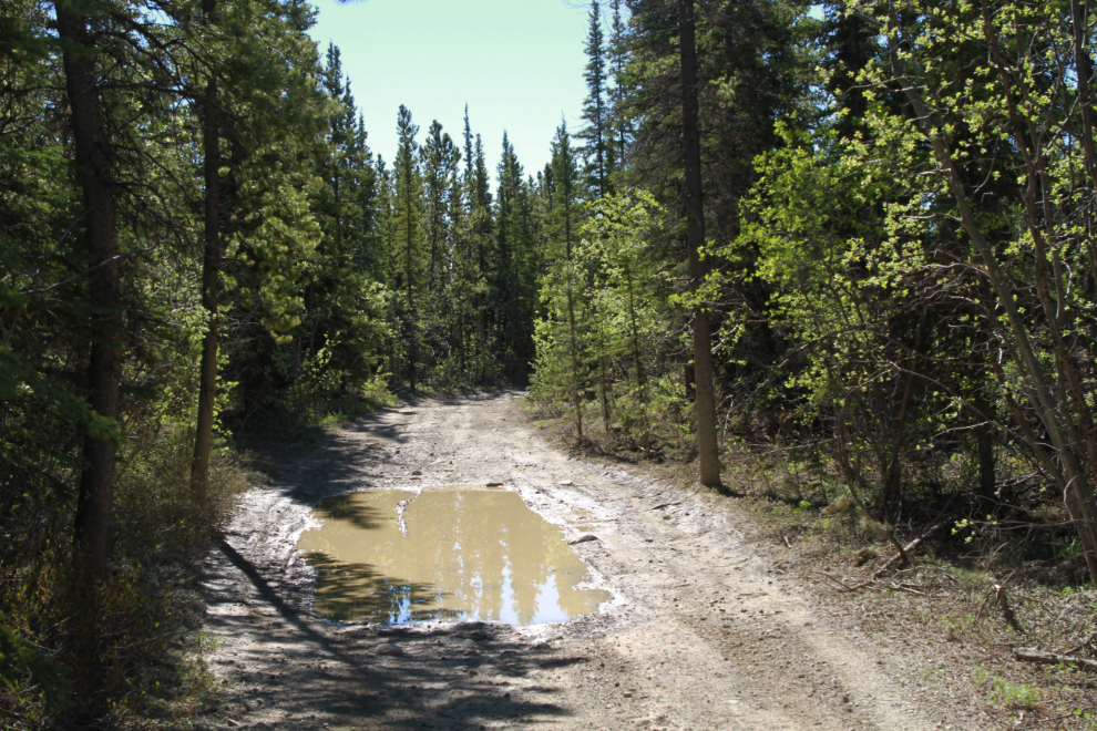 The WWII Canol pipeline road at Mary Lake