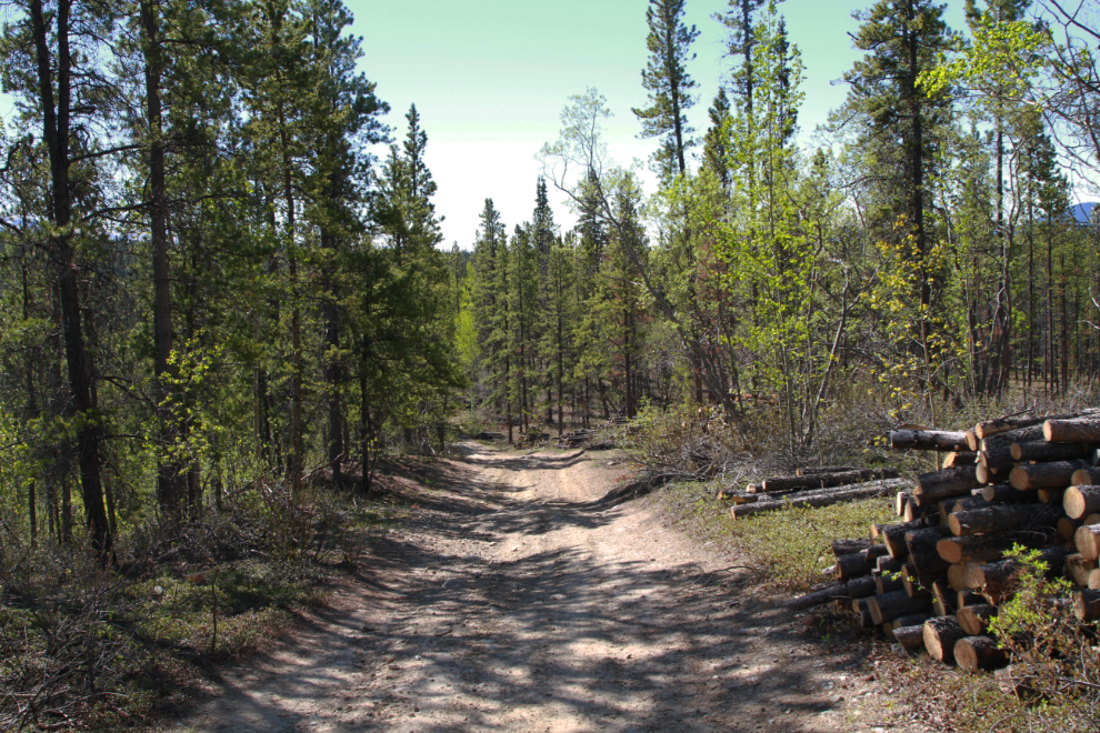 The Great Trail at Mary Lake