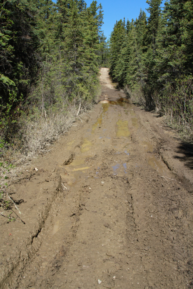 Extensive mud on The Great Trail at Mary Lake