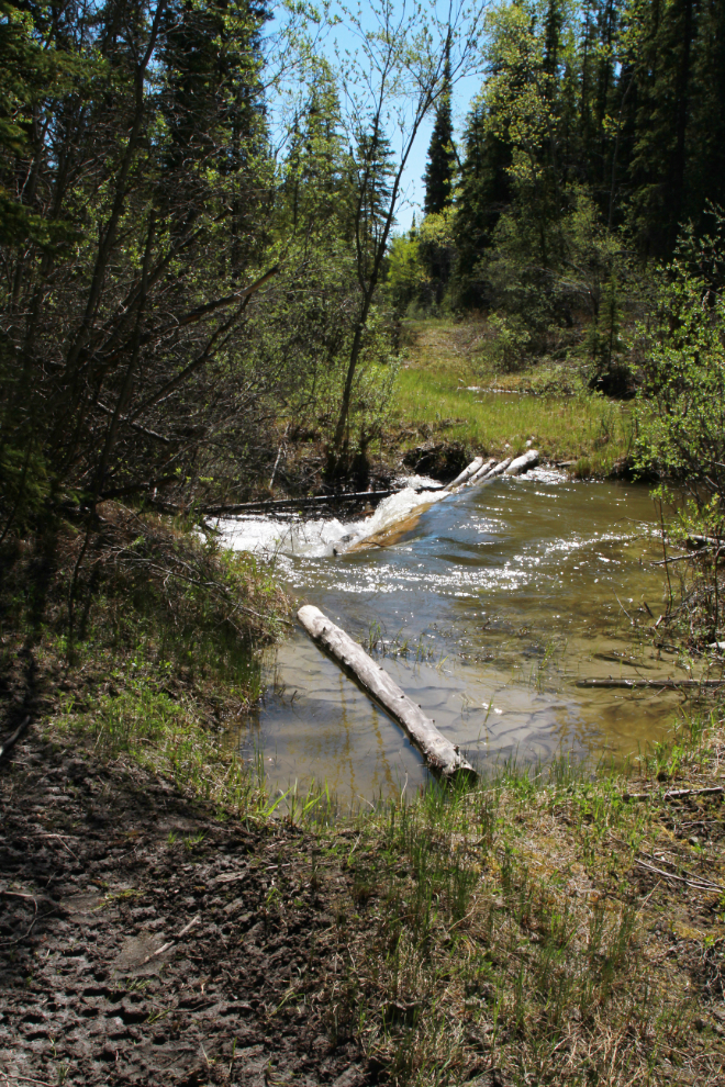 The Great Trail flooded at Cowley Creek, Yukon