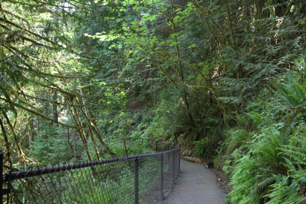 Englishman River Falls Provincial Park, BC