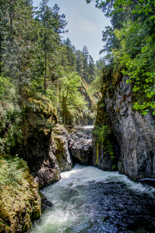 Lower falls at Englishman River Falls Provincial Park, BC