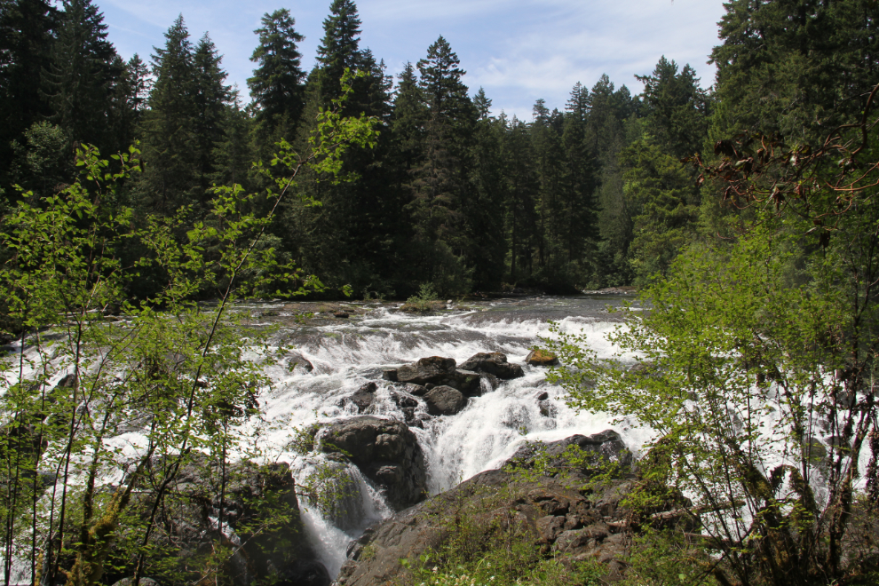 Englishman River Falls Provincial Park, BC