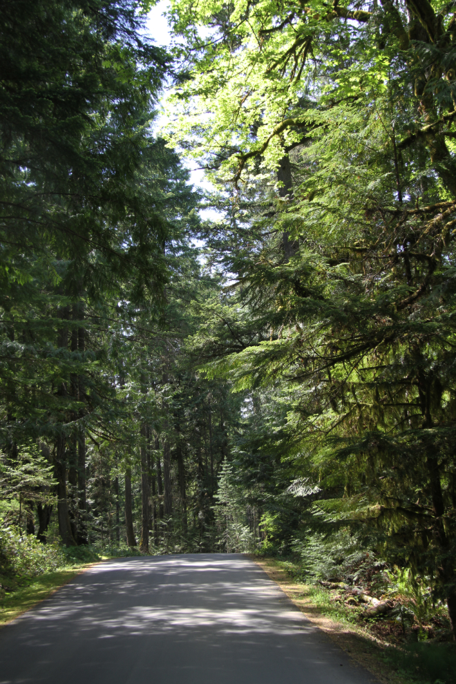 Englishman River Falls Provincial Park, BC