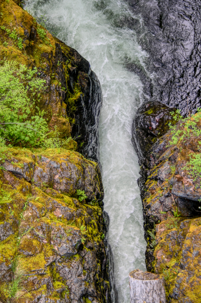 Englishman River Falls Provincial Park, BC