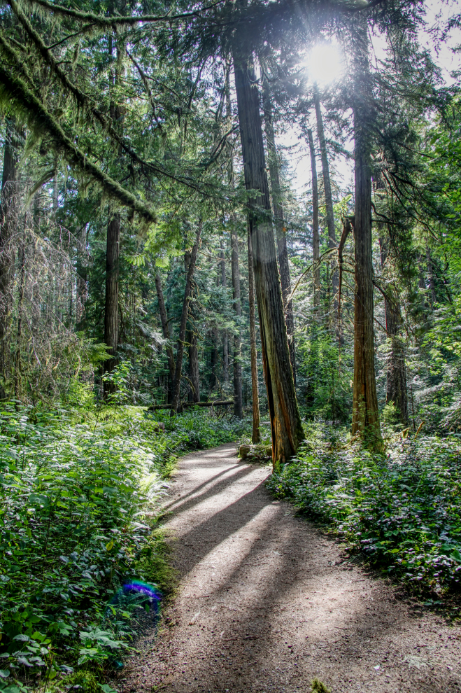 Englishman River Falls Provincial Park, BC