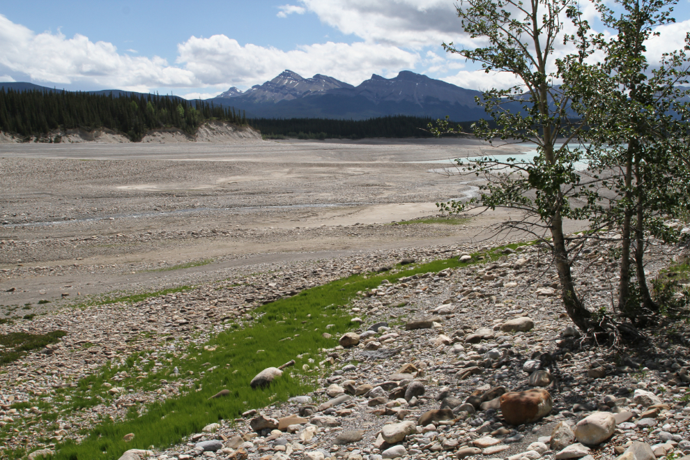 A dry bay on Abraham Lake, Alberta Highway 11