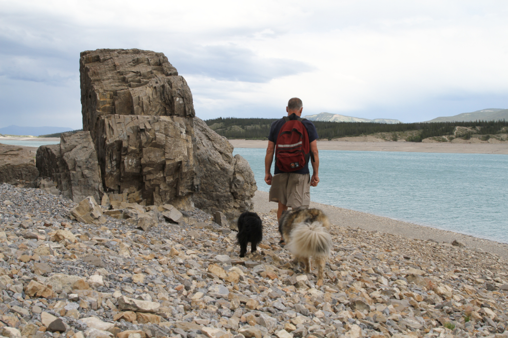 Murray with his dogs at Abraham Lake, Alberta Highway 11