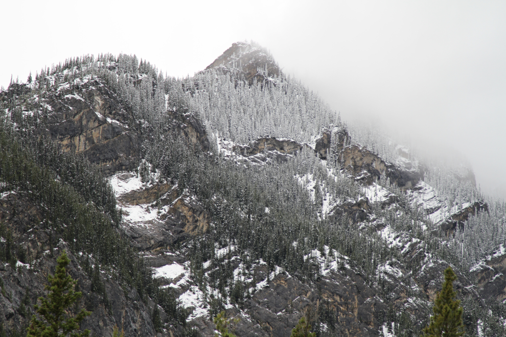 Snowy peaks above Abraham Lake, Alberta Highway 11