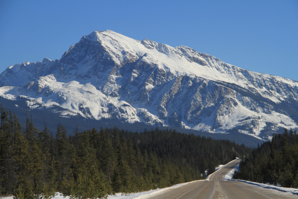 Icefields Parkway, with Mount Hardisty dominating the view