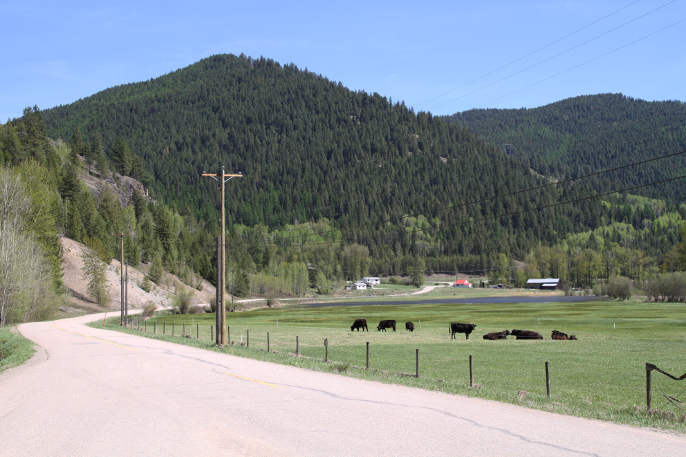 A farm north of Greenwood, BC