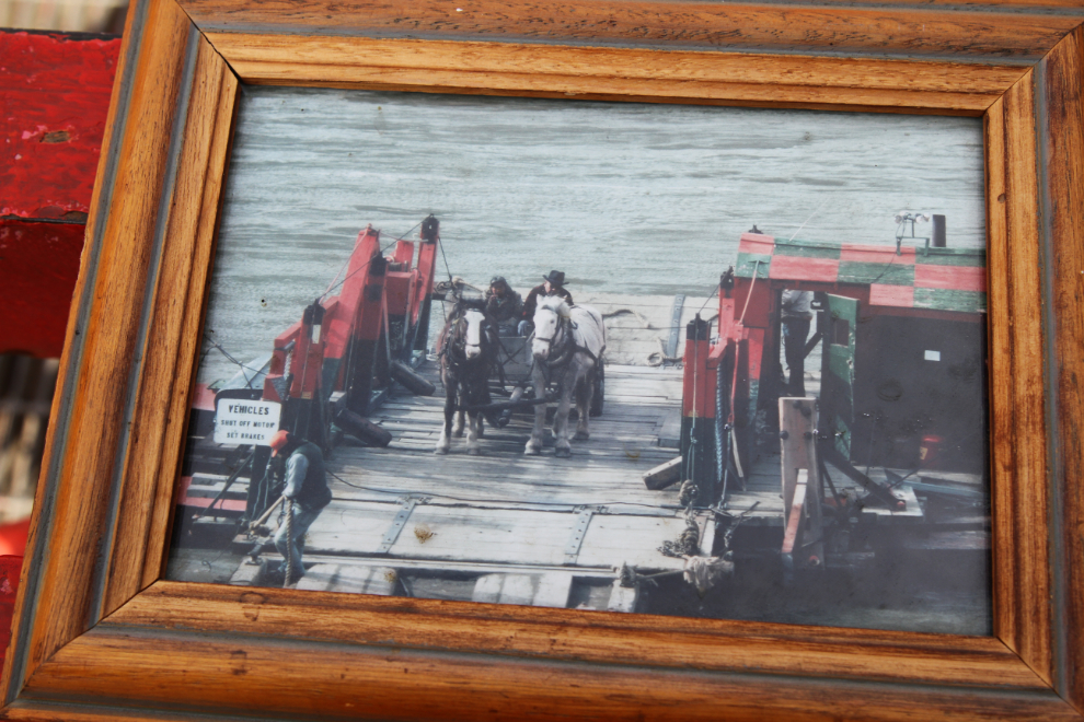 Horse-drawn wagon team on the Lytton Reaction Ferry