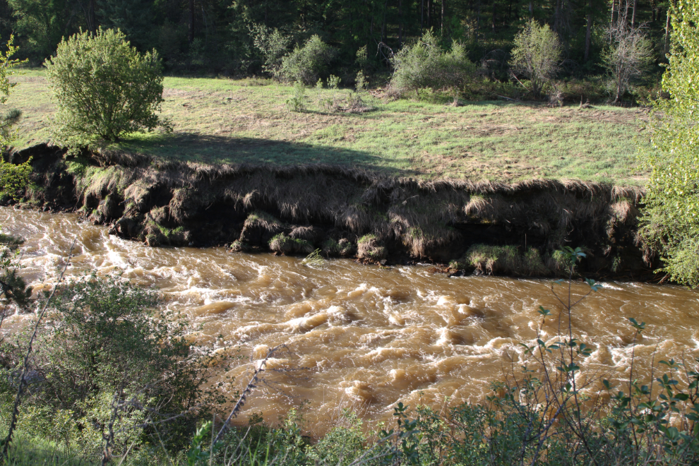 Boundary Creek, west of Greenwood, BC