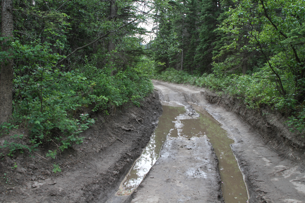 Deep mud puddle on the road to Ogre Canyon near Hinton, Alberta