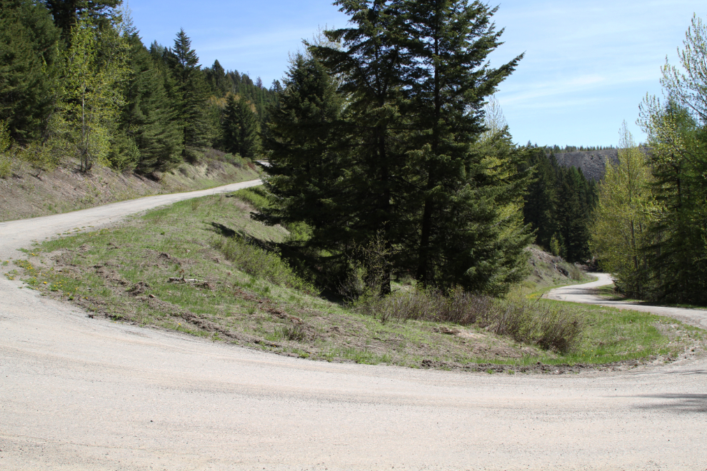 Switchback on the Phoenix Road, BC