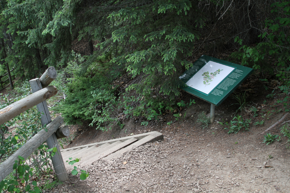 The David Thompson Trail, Rocky Mountain House National Historic Site, Alberta