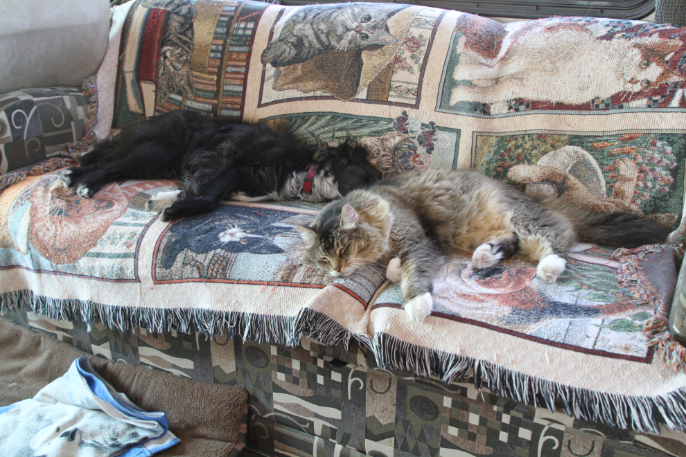 My dog Tucker and cat Molly asleep on the RV couch