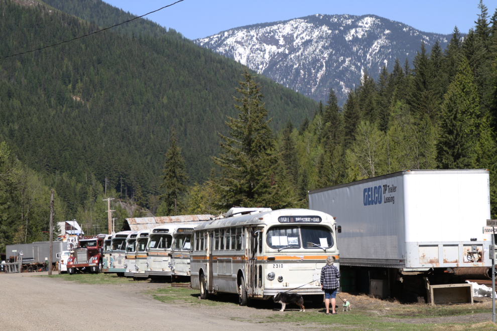 Brill trolley bus collection at Sandon, BC