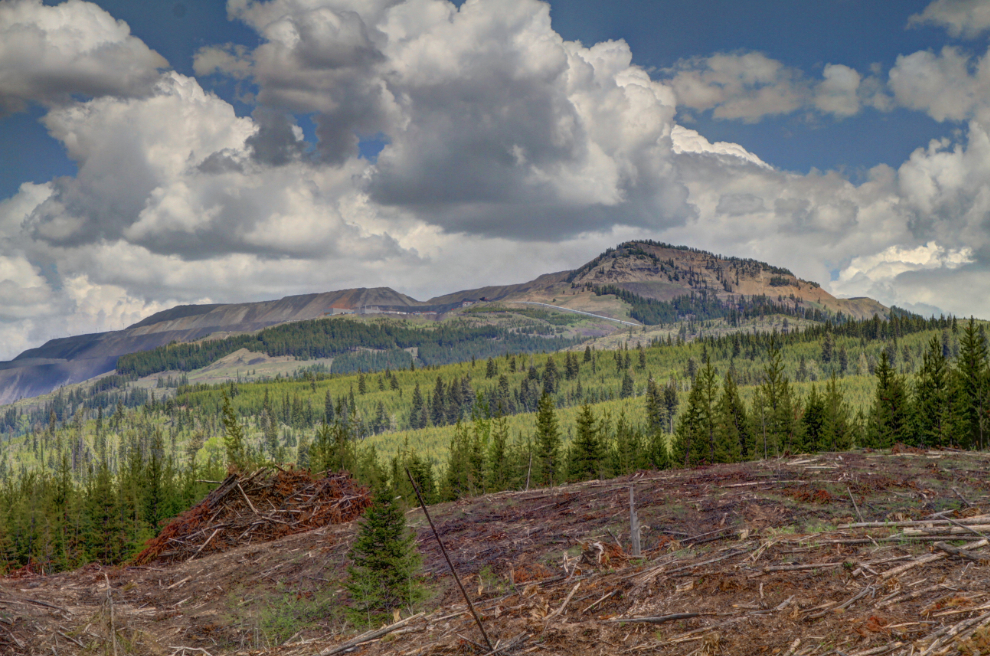Logging and coal mining near Elkford, BC