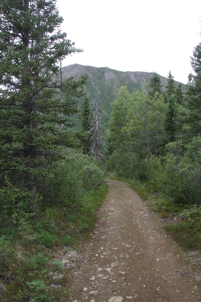 St. Elias Lake trail, Kluane National Park