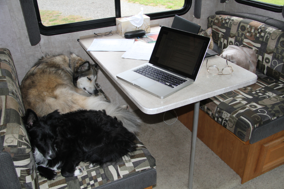 My dogs Bella and Tucker sleeping in the RV