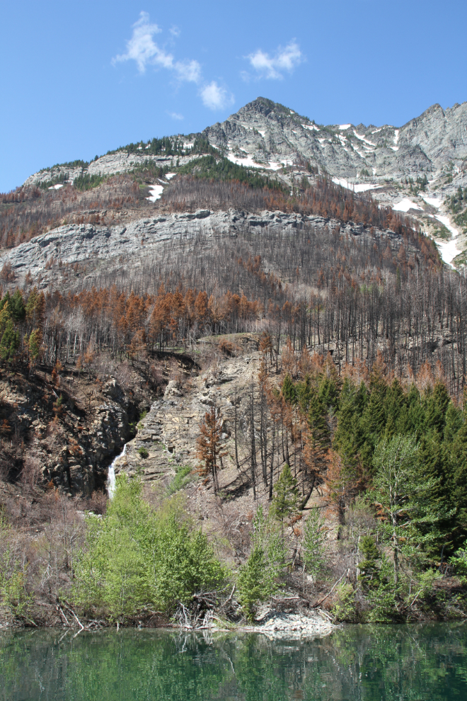 The Kenow Wildfire, Waterton Lakes National Park boat tour