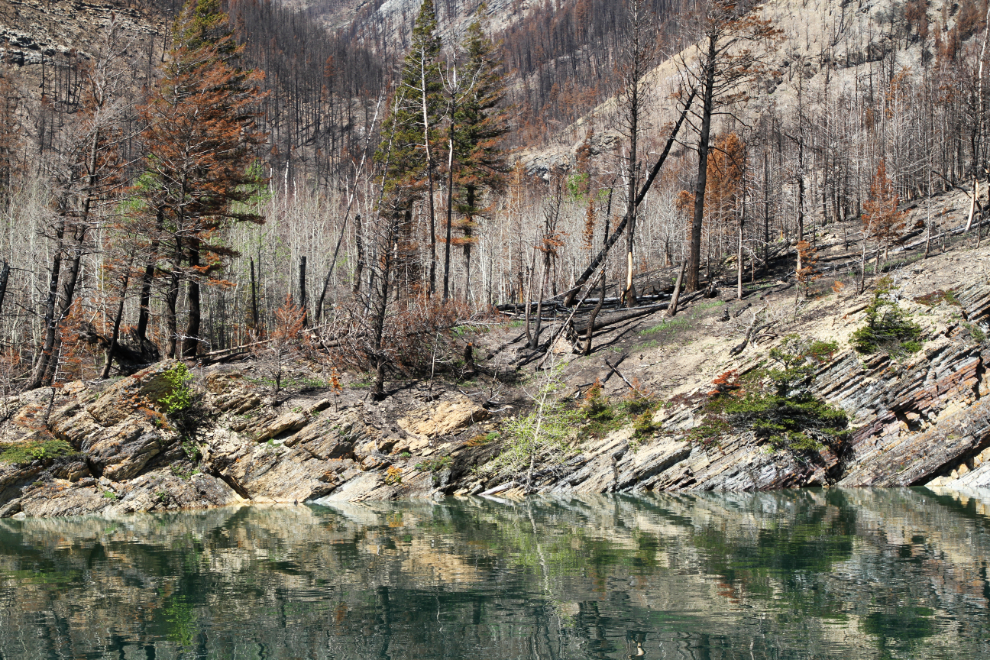 The Kenow Wildfire, Waterton Lakes National Park boat tour