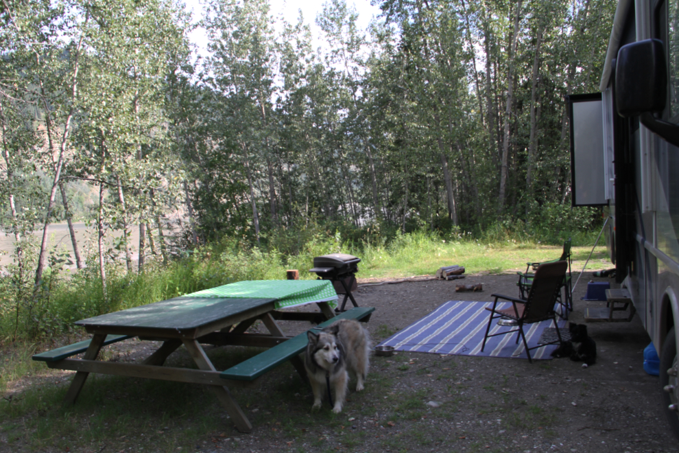 Campsite #42 at the Yukon River Campground in West Dawson