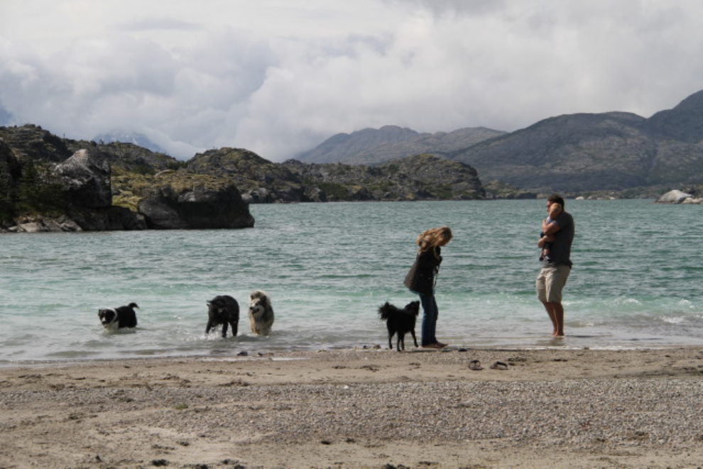 Dogs playing on the Summit Lake beach