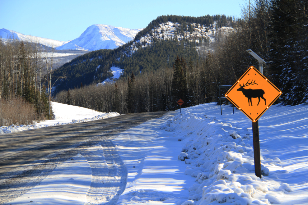 Elk warning sign, Alaska Highway
