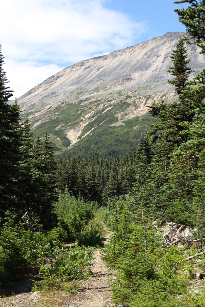 Bryant Lake trail, South Klondike Highway