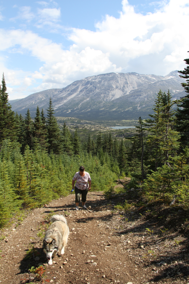 Bryant Lake trail, South Klondike Highway