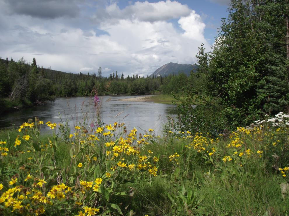 Rose River, South Canol Road, Yukon