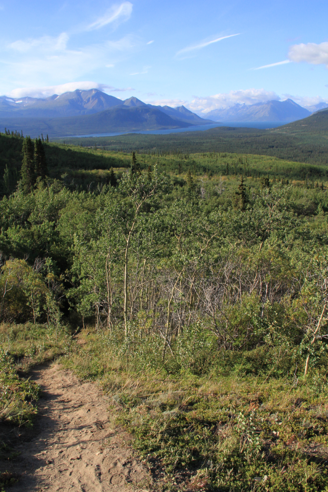 Lake Bennett from the Caribou Mountain trail, Yukon