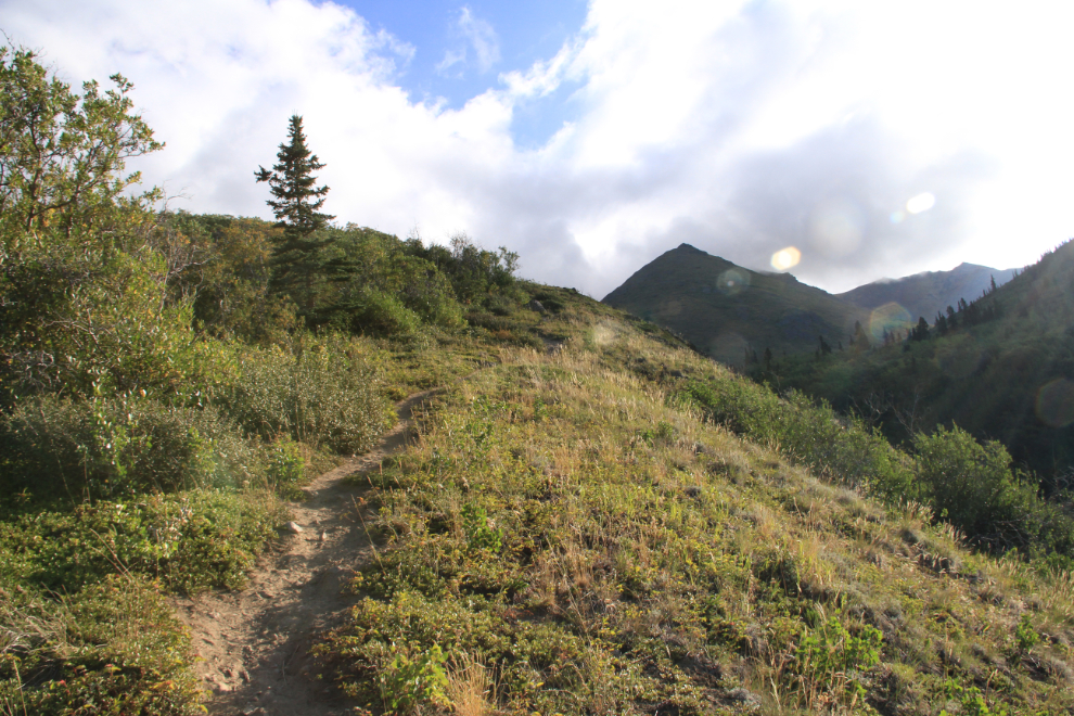 Steep section of the Caribou Mountain trail, Yukon