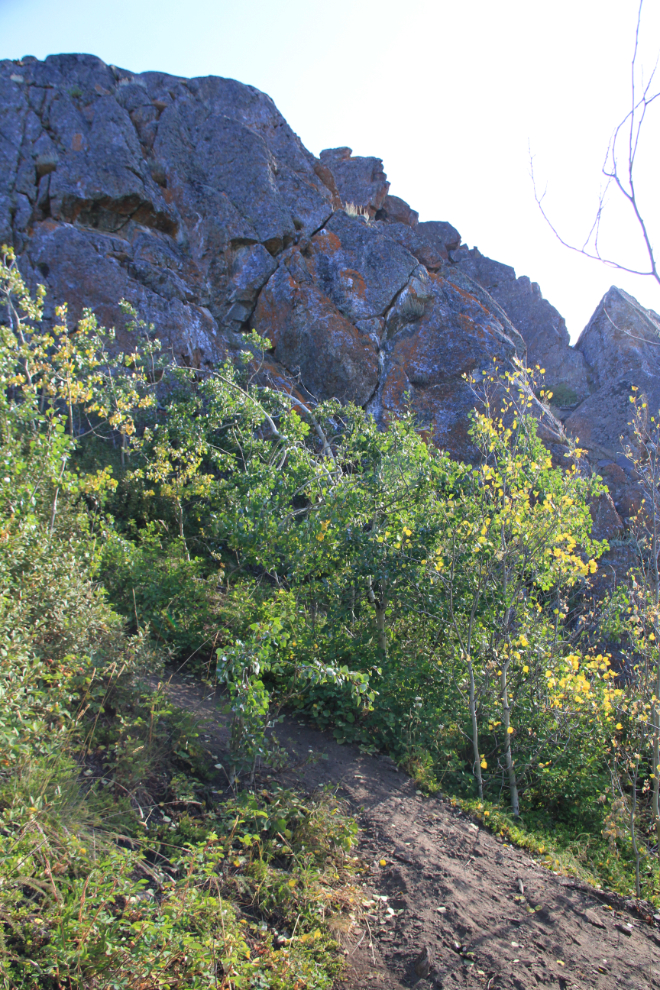 The Caribou Mountain trail, Yukon